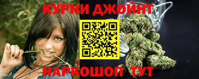 PSILOCYBIN Кинель